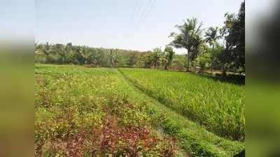 ನಿಡ್ಡೋಡಿ ನಿದ್ದೆಗೆಡಿಸಿದ ಹೊಸ ಉಷ್ಣವಿದ್ಯುತ್ ಸ್ಥಾವರ