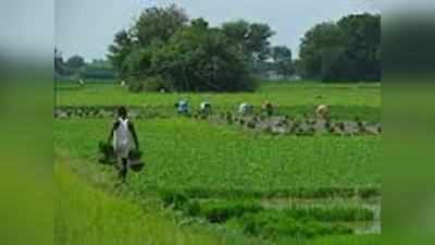 কৃষিঋণ মকুবের পথে হাঁটলেন না চিদম্বরম