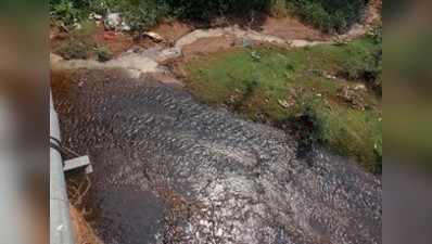 ಮಲಿನಗೊಂಡ ಸುಬ್ರಹ್ಮಣ್ಯ ದರ್ಪಣ ತೀರ್ಥ