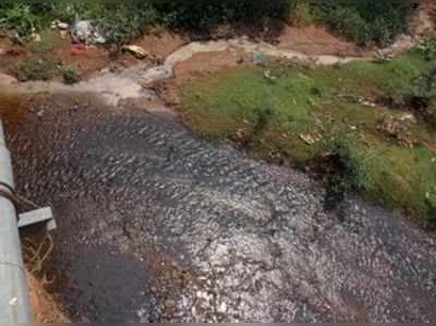 ಮಲಿನಗೊಂಡ ಸುಬ್ರಹ್ಮಣ್ಯ ದರ್ಪಣ ತೀರ್ಥ