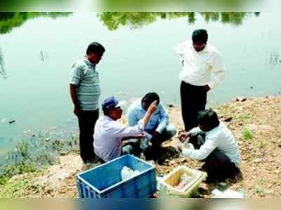 ಮೀನುಗಳ ಸಾವಿಗೆ ಕೊಳಚೆ ನೀರು ಕಾರಣ