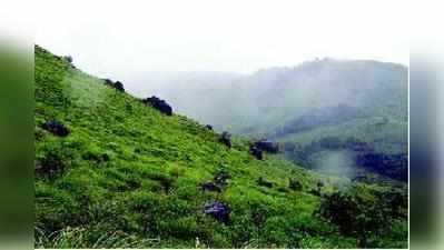 ತಡಿಯಂಡ ಮೋಳ್ ಚಾರಣಿಗರ ಸ್ವರ್ಗ