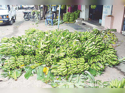 ಏಲಕ್ಕಿ ಬಾಳೆ ಬೆಲೆ ದಿಢೀರ್ ಕುಸಿತ