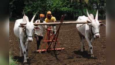 ಹೊತ್ತಿಗೆ ಬಂದ ಮಳೆ, ಬಿತ್ತನೆಯ ಭರದಲ್ಲಿ ಅನ್ನದಾತ