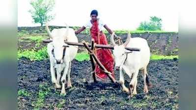 ಉತ್ತಿ ಬಿತ್ತಿ ಬೆಳೆ ತೆಗೆಯುವ ಮಣ್ಣಿನ ಮಗಳು