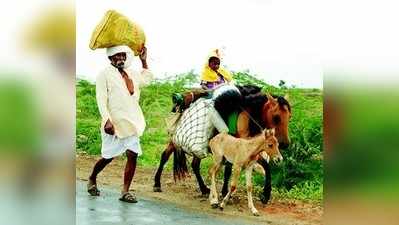 ಕುರಿಗಾರರ ಅಲೆದಾಟವೇ ಬದುಕು