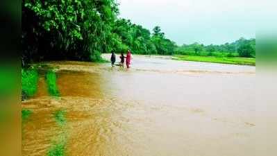 ಹೆಚ್ಚು ಮಳೆ :ಅಡಕೆಗೆ ಕೊಳೆ.. ನೆಲ ಕಚ್ಚಿದ ಭತ್ತ