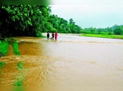 ಹೆಚ್ಚು ಮಳೆ :ಅಡಕೆಗೆ ಕೊಳೆ.. ನೆಲ ಕಚ್ಚಿದ ಭತ್ತ