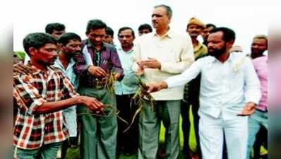 ಮಳೆ ಹಾನಿ; ಶಾಸಕರಿಂದ ಸಮೀಕ್ಷೆ