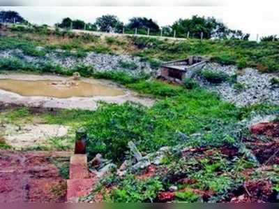 ಕೆರೆಯಲ್ಲಿ ಬೆಳೆದ ಜಾಲಿಕಂಟಿಗಳು