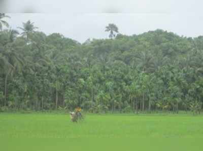 ತುಳು ಚಾವಡಿ:ಬಾರ್ ಪೋದು ಅರಿಯಾಂಡ್