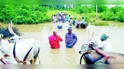 ಭಾರಿ ಮಳೆಗೆ ಮುಳುಗಿದ ಹಳ್ಳದ ರಸ್ತೆ: ಭಕ್ತರ ಪರದಾಟ