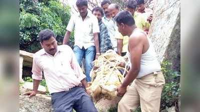 ಪ್ರಪಾತಕ್ಕೆ ಬಿದ್ದರೂ ಪಾರಾದ ಯುವಕ