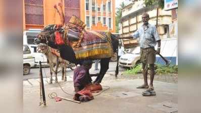 ಮೈನವಿರೇಳಿಸುವ ಬಸವನಾಟ: ಯಾದವ ಕುಲದ ಉದರ ಪಾಠ!