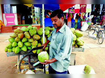 ಬದುಕು ಜಟಕಾ ಬಂಡಿ: ಕೂಡಿ ಬಾಳುವ ಕನಸು ಕಾಣುತ್ತಾ...