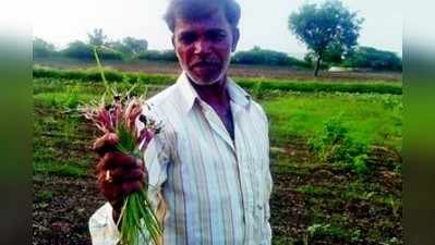 ಆಸೆ ಹುಟ್ಟಿಸಿದ ಹಸ್ತ ಮಳೆ: ರೈತರು ಕಂಗಾಲು