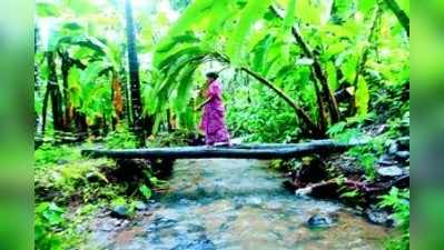 ಬೆಂಬಿಡದ ಮಳೆ ನವರಾತ್ರಿ ಹಬ್ಬಕ್ಕಿಲ್ಲ ಕಳೆ