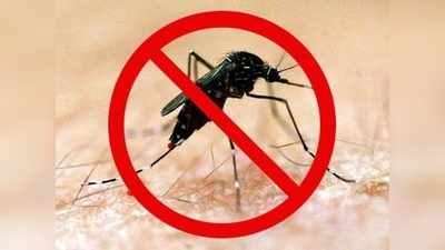 डेंगू : बारिश के बाद खतरा और बढ़ा