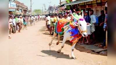 ಎದೆ ಝಲ್ ಎನಿಸುವ, ರೋಮಾಂಚನಕಾರಿ  ಹಟ್ಟಿಹಬ್ಬ