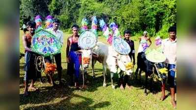 ದನದ ಬಯಲಿನಲ್ಲಿ ಚೌಲದೆತ್ತಿನ ಓಟ