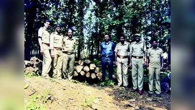 ಹೂತಿಟ್ಟಿದ್ದ  ಸಾಗವಾನಿ ನಾಟು ವಶ