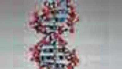 विभक्त होणा-या डीएनएची प्रतिमा मिळविण्यात यश 
