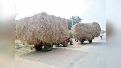 ಆತಂಕ ಸರಿಸಿದ ಆಂಧ್ರದ ಭತ್ತದ ಹುಲ್ಲು