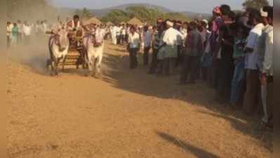 ರೋಮಾಂಚನಗೊಳಿಸಿದ ಖಾಲಿ ಘಾಡಾ ಓಡಿಸುವ  ಸ್ಪರ್ಧೆ