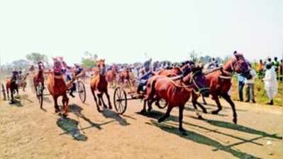 ಜನಮನ ಸಳೆದ ಜೋಡು ಕುದರೆ ರೇಸಿನ ಸ್ಪರ್ಧೆ