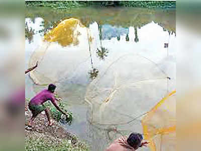 ಗರಿಗೆದರಿದ ಮೀನು ಶಿಕಾರಿ