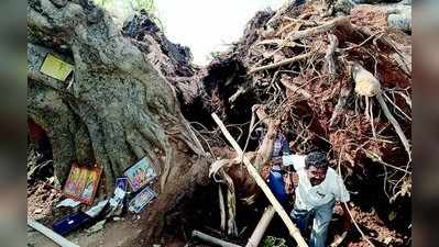 ಕವಲಾಗಿ ಉರುಳಿತು ಶತಮಾನದ ಆಲದಮರ