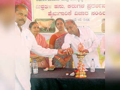 ಹೈನುಗಾರಿಕೆ ತರಲಿದೆ ಆರ್ಥಿಕ ಚೇತರಿಕೆ