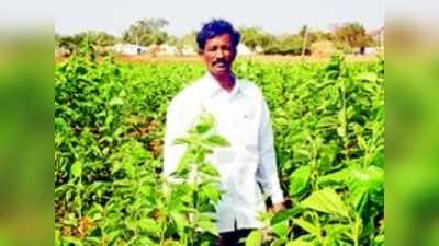 ಹೋಟೆಲ್ ಬಿಟ್ಟು ರೇಷ್ಮೆ ಕೈ ಹಿಡಿದ ಶೆಟ್ರು