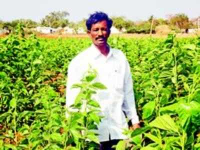 ಹೋಟೆಲ್ ಬಿಟ್ಟು ರೇಷ್ಮೆ ಕೈ ಹಿಡಿದ ಶೆಟ್ರು