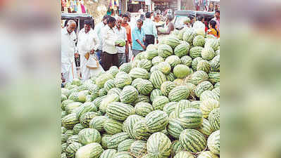 ಮಾರುಕಟ್ಟೆಗೆ ರಾಶಿ ಕಲ್ಲಂಗಡಿ ದಾಂಗುಡಿ