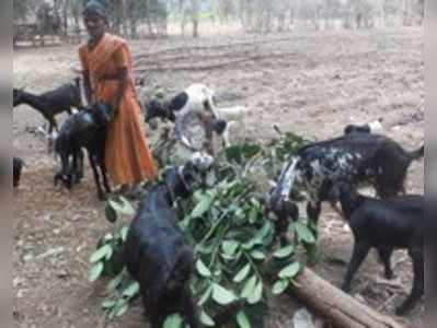 ಕೃಷಿ ಹೇಳಿಕೊಡುವ ಖುಷಿ