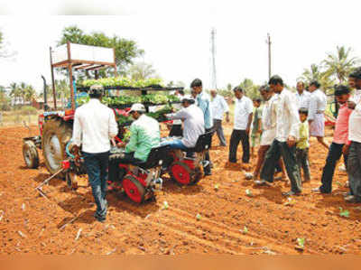 ತಂಬಾಕು ಸಸಿ ನಾಟಿ: ಹೊಸ ‘ತಂತ್ರ’