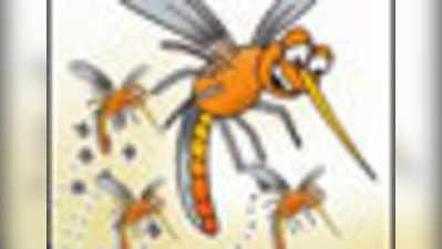 मीठी नदी से पैदा हो रहे हैं टी 2 पर मच्छर!