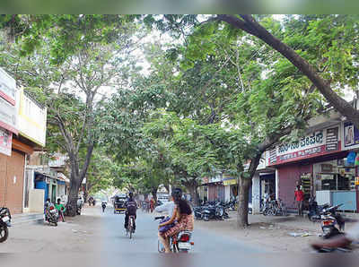 ದೇವನಗರಿಯಲ್ಲಿ ತಂಪೆರೆವ ರಸ್ತೆಗಳು