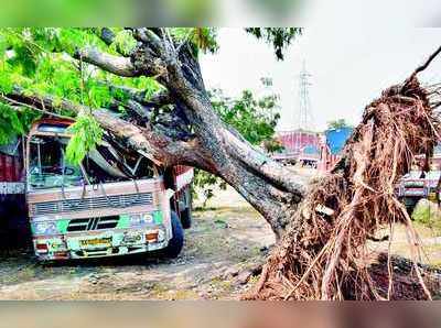 ಮಳೆ: ಮರಬಿದ್ದು ಲಾರಿ ಜಖಂ