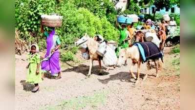 ಮೇವು ಕೊರತೆ : ತಪ್ಪದ ಕುರಿಗಾರರ ಅಲೆತ