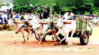 ಮೈನವಿರೇಳಿಸಿದ ಎತ್ತಿನಗಾಡಿ ಓಟ