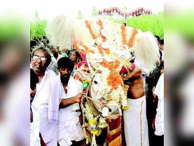 ವಿಜೃಂಭಣೆಯ ಬೀರೇಶ್ವರ ದೊಡ್ಡ ಹಬ್ಬ