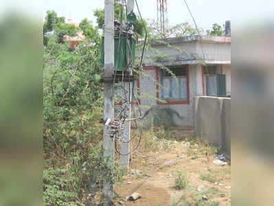 ತಂತಿ ಬೇಲಿ ಅಳವಡಿಸಲು ಆಗ್ರಹಿಸಿ ಪ್ರತಿಭಟನೆ