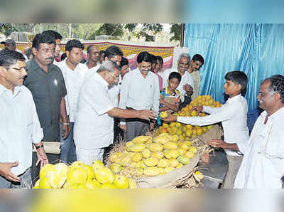 3 ದಿನದ ಮಾವು ಮೇಳ ಆರಂಭ