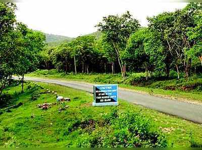 ನಿದ್ದೆಗೆಡಿಸಿದ ಹುಲಿ, ಚಿರತೆ ಹಾವಳಿ