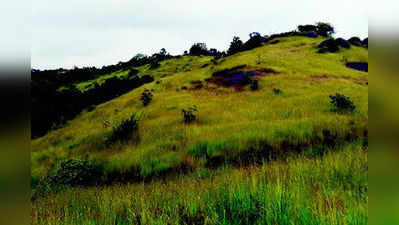 ಮಂಗಳೂರಿನ ಬೋರ್‌ಗುಡ್ಡ