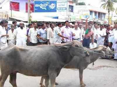 ಹಾರನಹಳ್ಳಿ ಕೆರೆಗೆ ನೀರು ಹರಿಸಿ