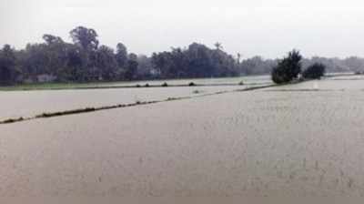 ನದಿ ಹೂಳು: ಕೃಷಿಕರಿಗೆ ಗೋಳು