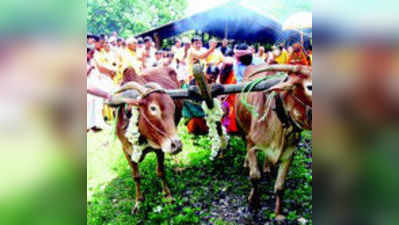 ಪುನರ್ನವ ಕಟ್ಟಡ ನಿರ್ಮಾಣಕ್ಕೆ ಭೂ ಪರಿಗ್ರಹ